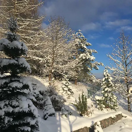 The Dutchman Brodnica Dolna