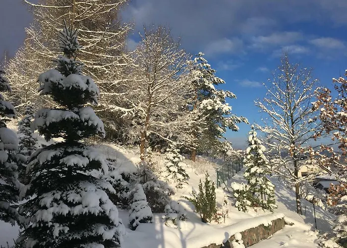 The Dutchman Brodnica Dolna