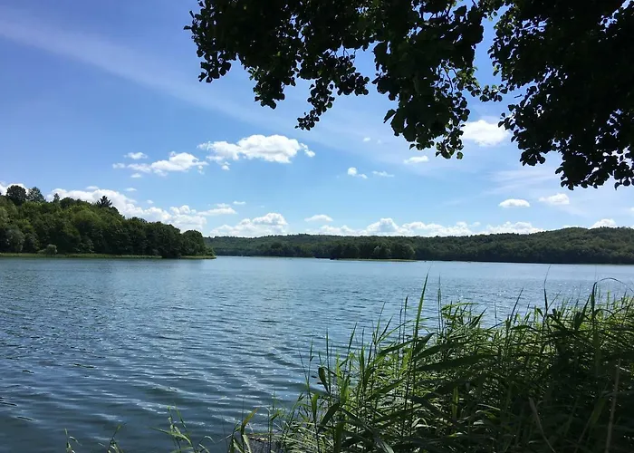 The Dutchman فندق مبيت وإفطار Brodnica Dolna