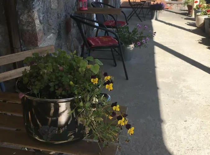 فندق مبيت وإفطار The Dutchman